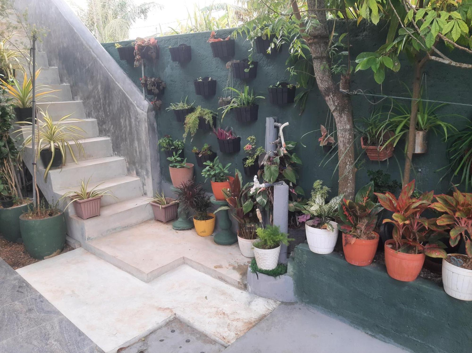 מלון היקדואה Weerakoon Garden Guest מראה חיצוני תמונה